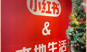 原创 
            百日“种卡”，小红书“认栽”？